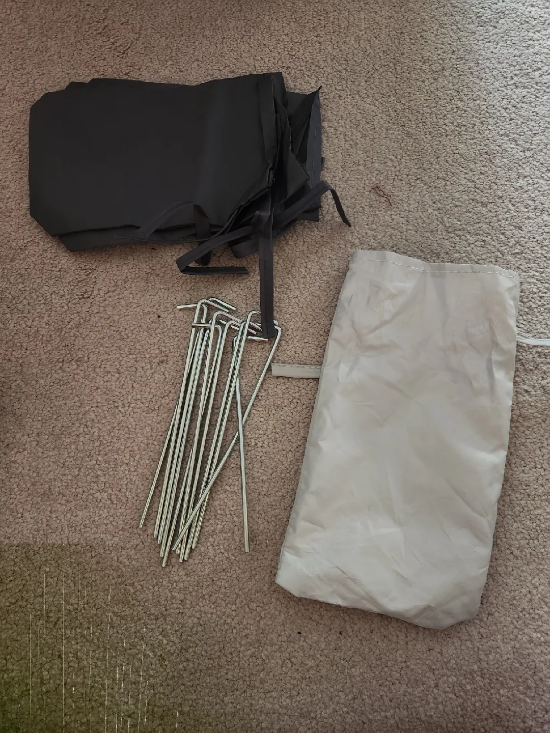 Tent Stakes, Carry Bag and 4 sand bags 🥕 thumbnail