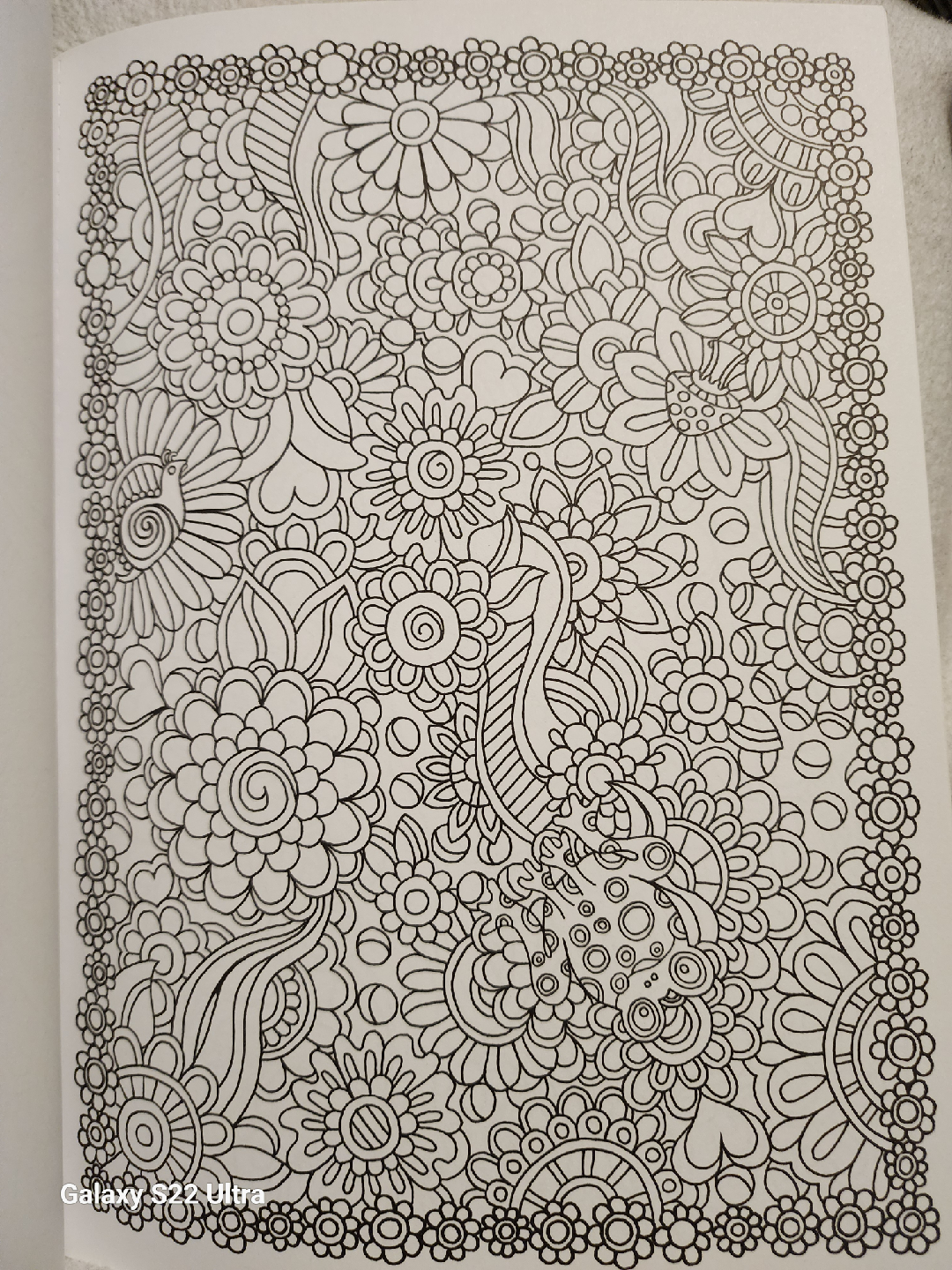 Dream Doodles Coloring Book - photo 5