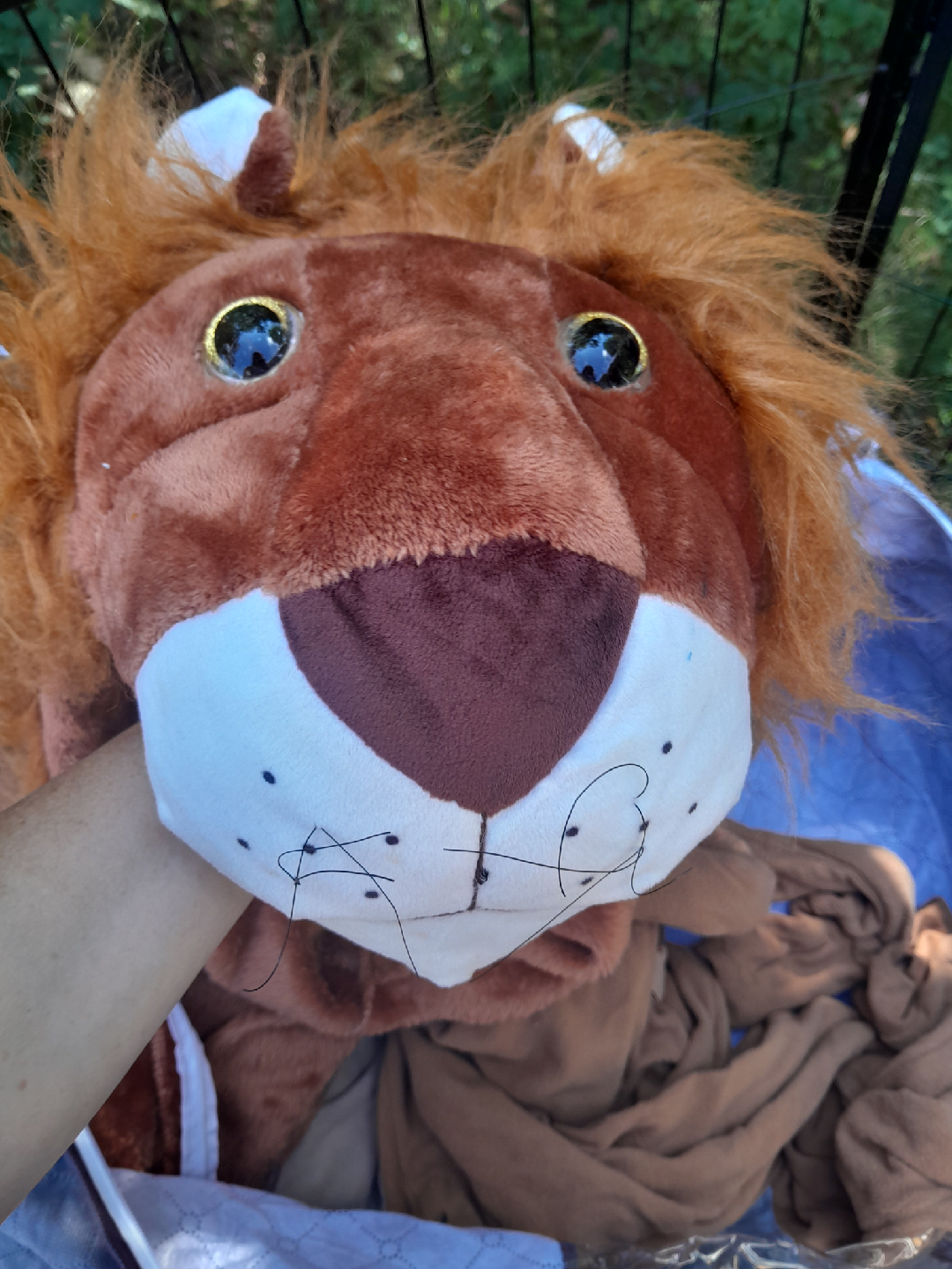 family lion costumes - photo 3