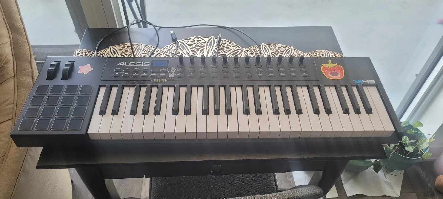 Alesis VI49 MIDI Keyboard image indicator(2)