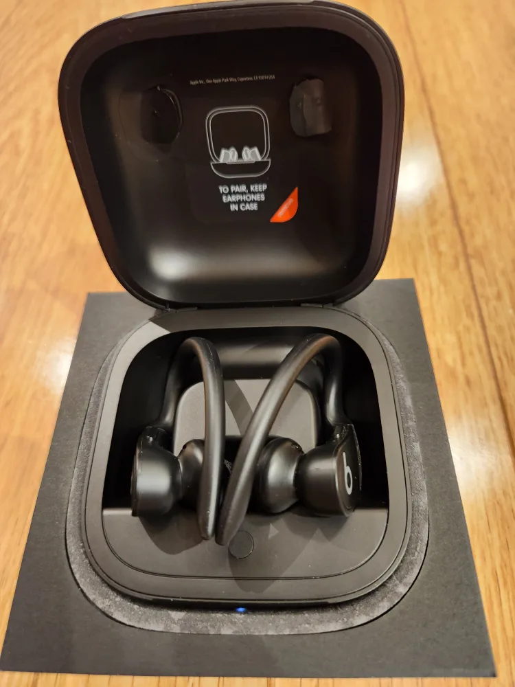 BEATS POWERBEATS PRO 1 WIRELESS EARPHONES thumbnail