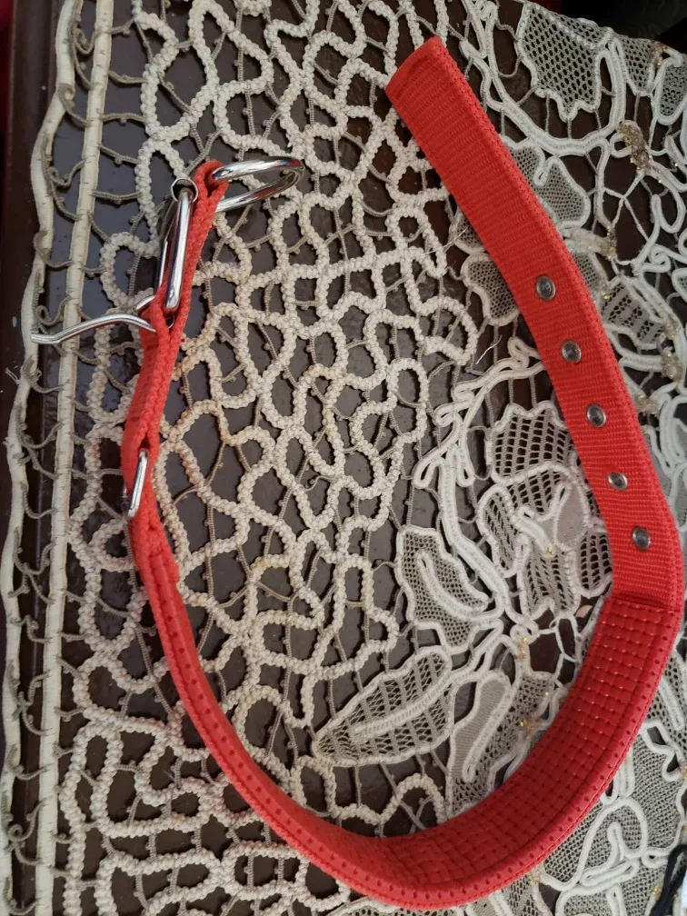 Red Dog Collar new never used image indicator(4)
