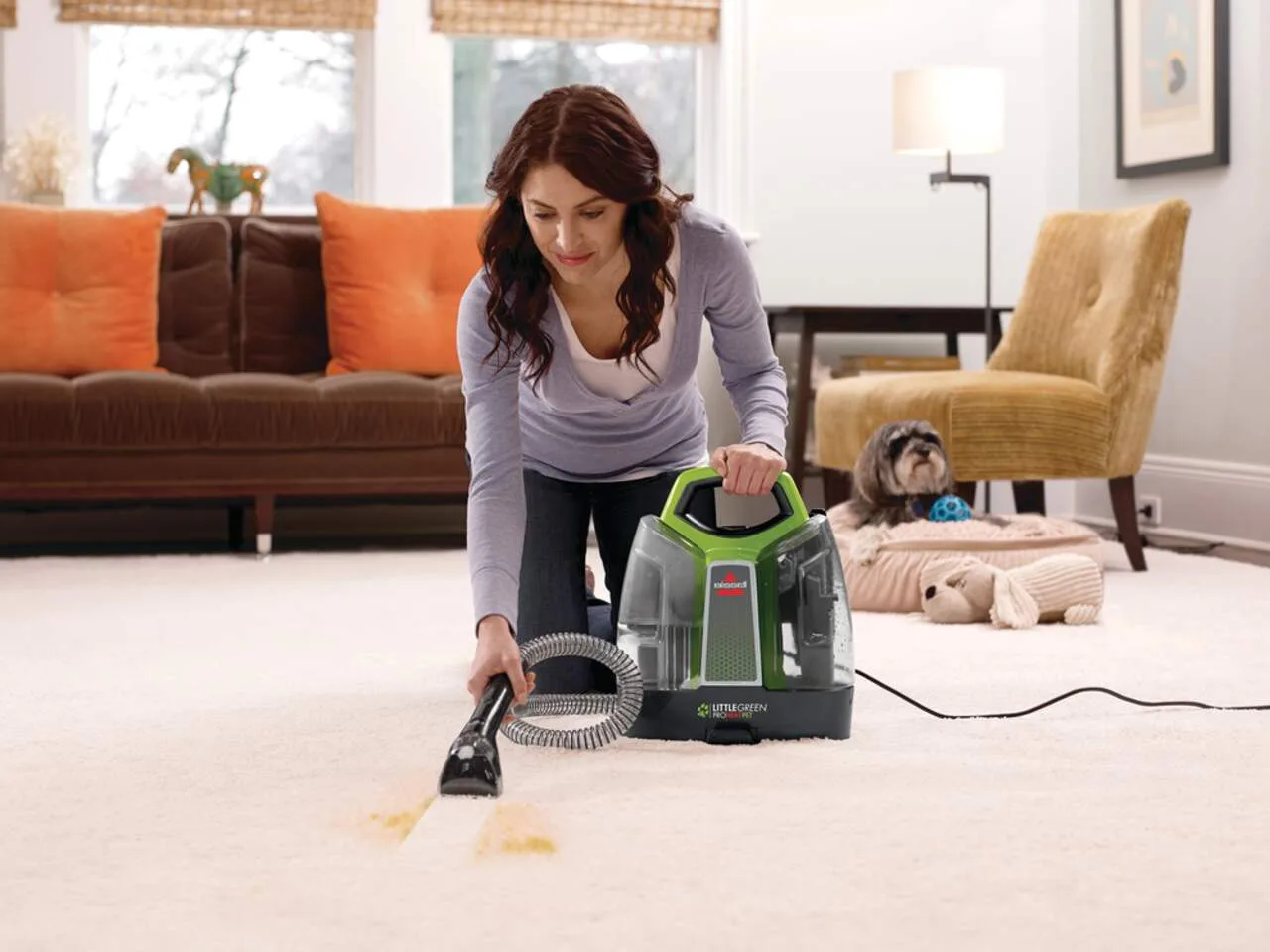 Bissell Little Green Pro Spot Cleaner image indicator(6)