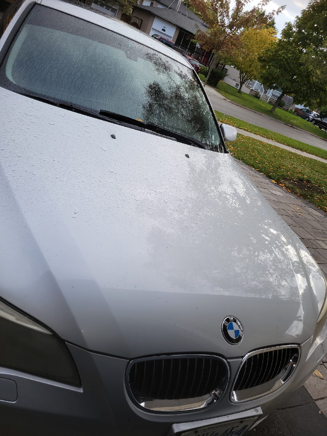 2004 BMW 545i sedan for sale - photo 4