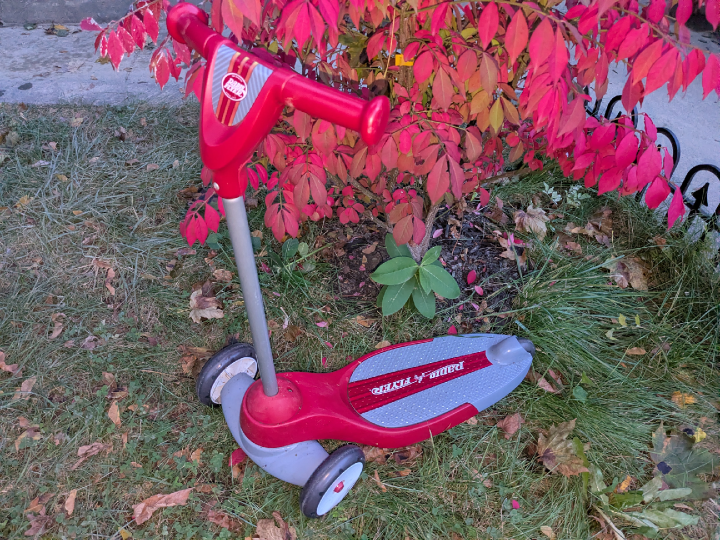 Radio flyer scooter