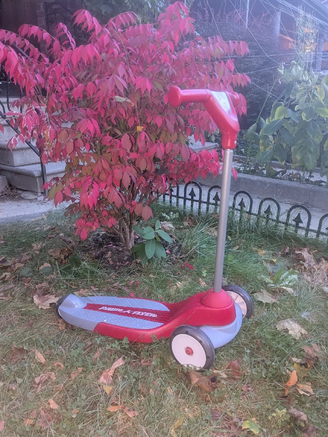 Radio flyer scooter image indicator(3)