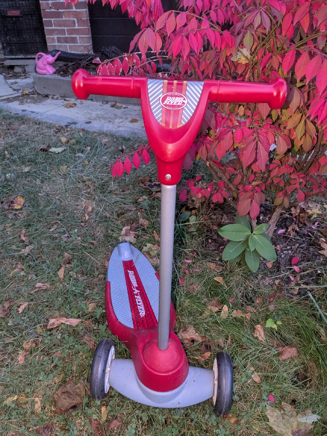 Radio flyer scooter image indicator(4)