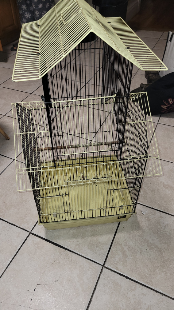 Bird Cage - Black and Yellow - photo 3