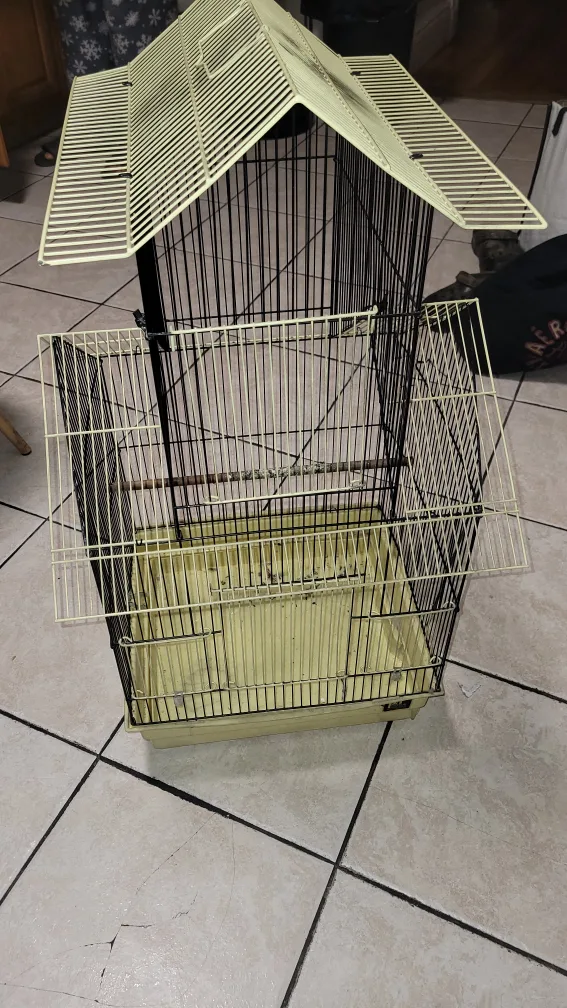 Bird Cage - Black and Yellow image indicator(3)