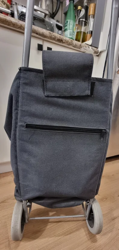 Grey Rolling Shopping Cart image indicator(2)