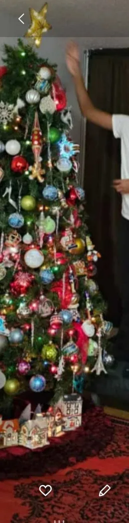 7.5ft Balsam Fir Full Christmas Tree image indicator(4)