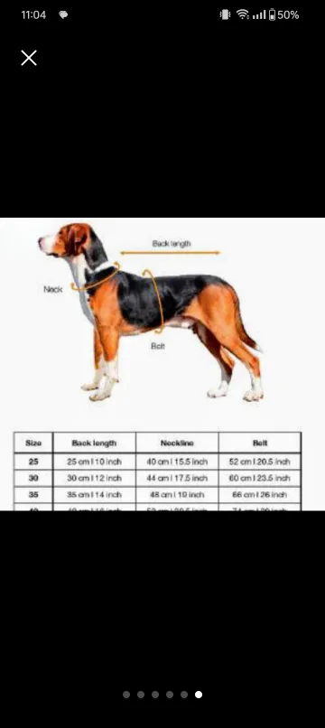 Paikka Visibility Dog Rain Suit image indicator(5)