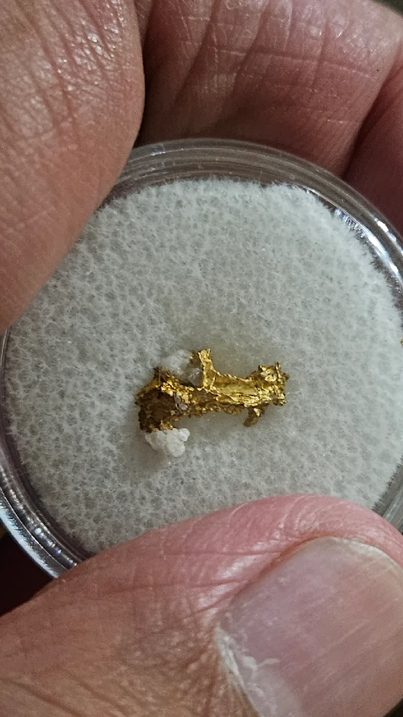 Crystallized gold nugget image indicator(2)