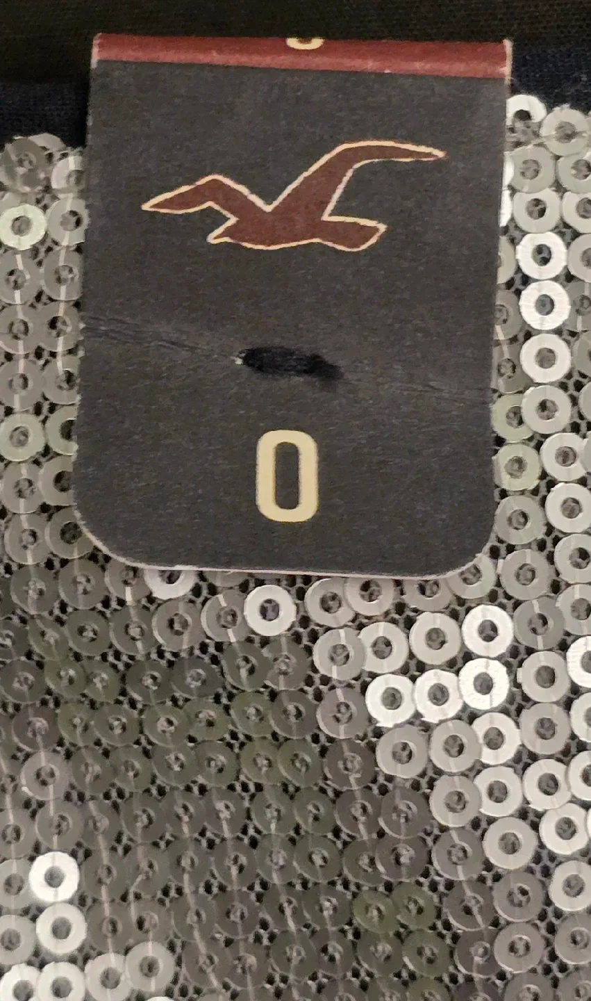 NEW! Hollister Silver Sequin Skirt! - Size 0 image indicator(5)