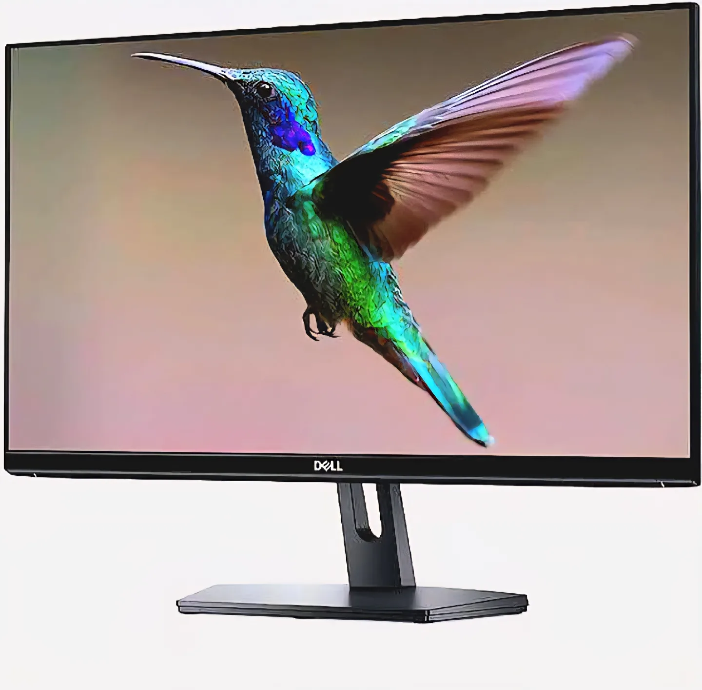 Dell HD Monitor image indicator(3)