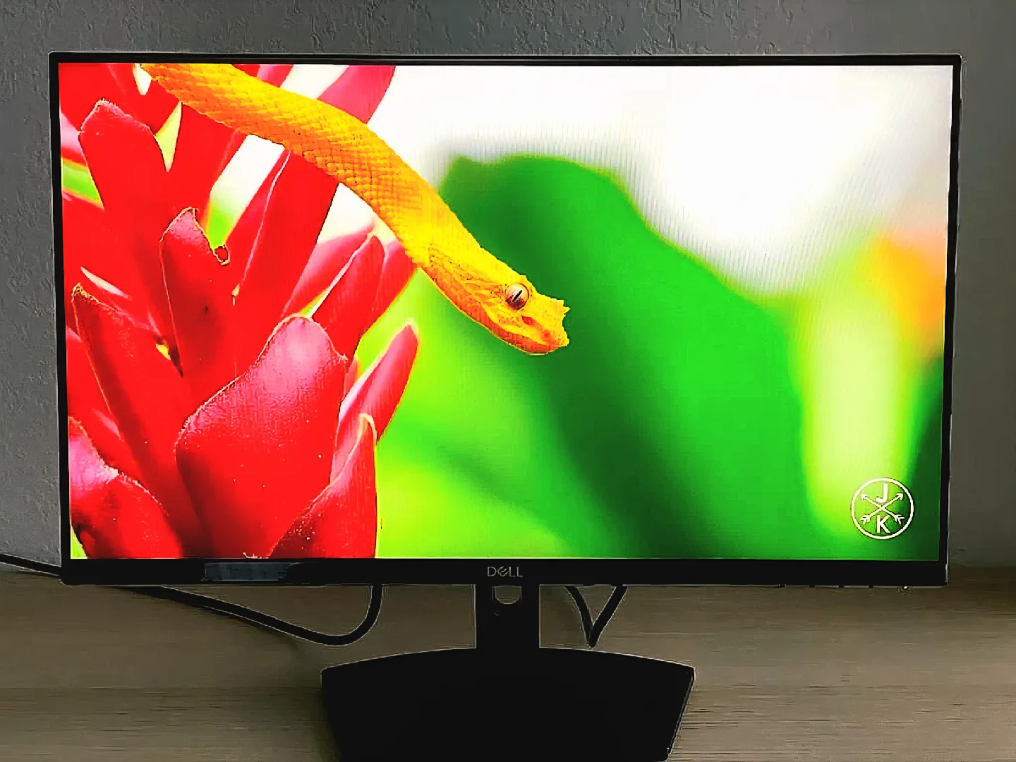Dell HD Monitor