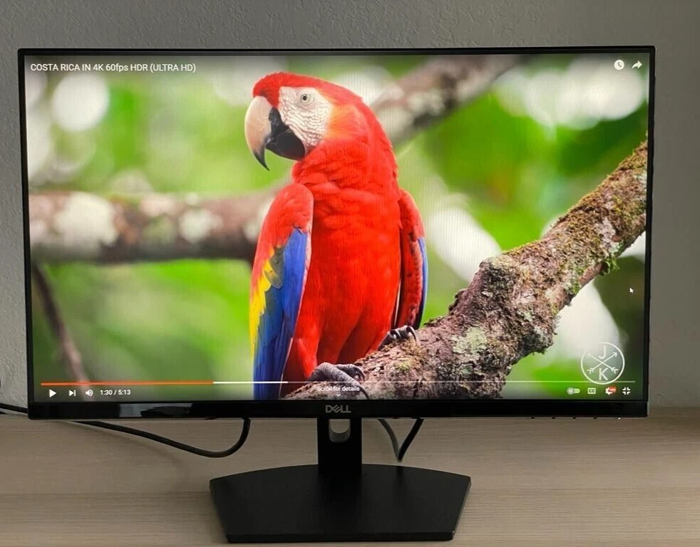 Dell HD Monitor - photo 5