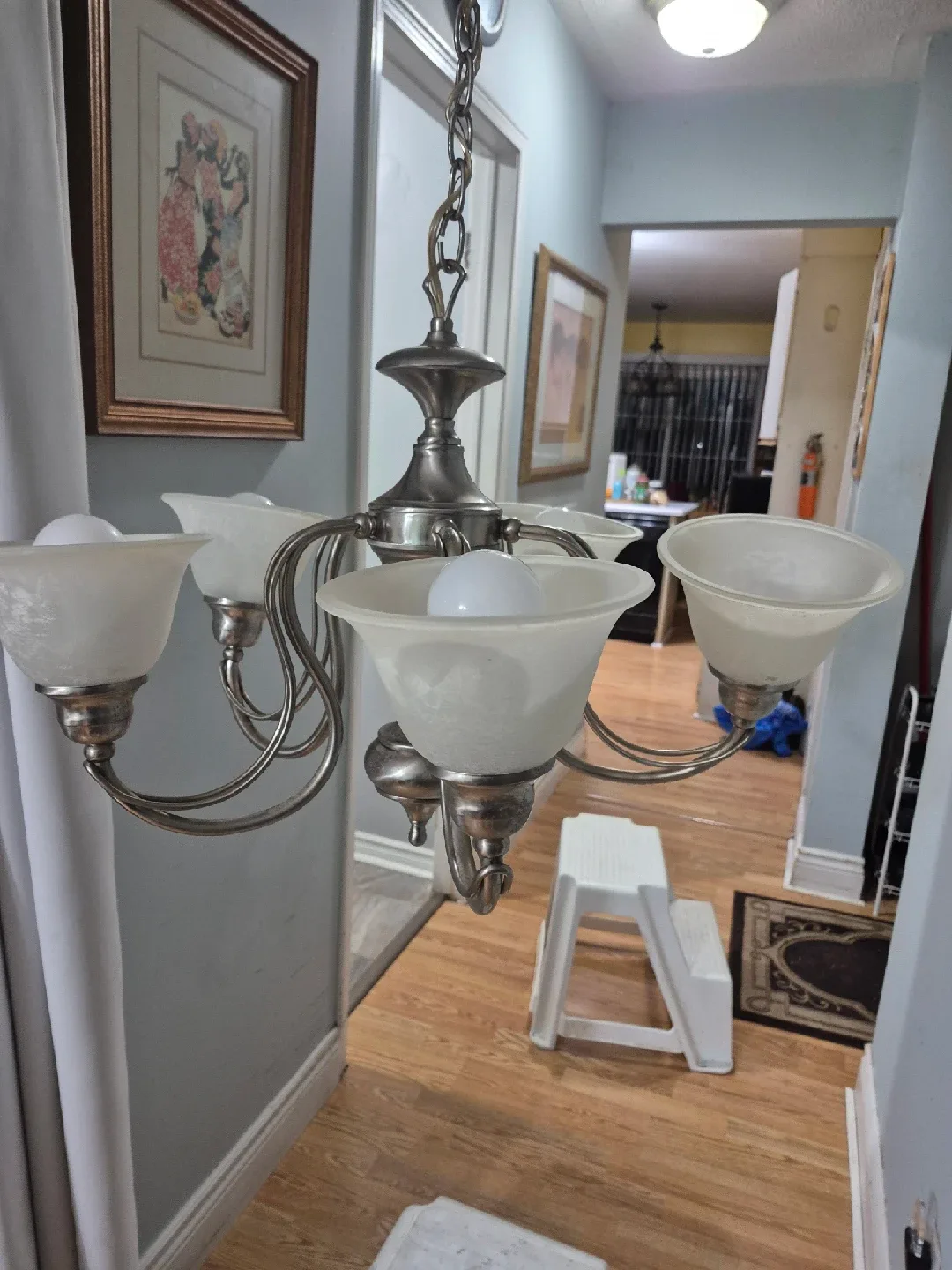 Chandelier with 5 frosted glass shades image indicator(5)