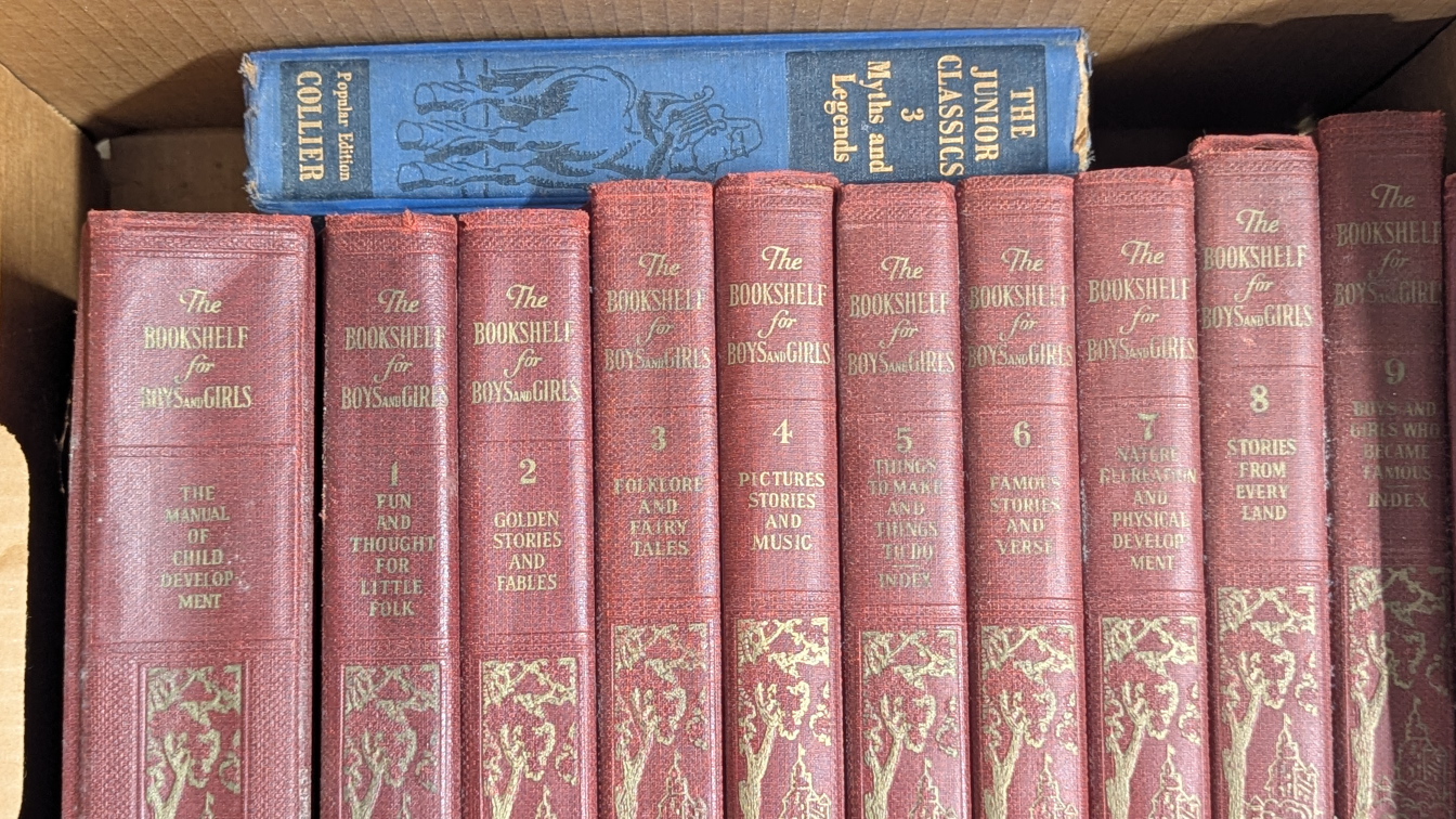 The Bookshelf for Boys and Girls Set