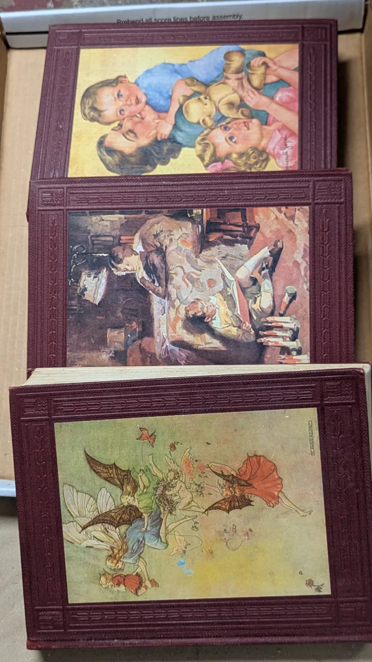 The Bookshelf for Boys and Girls Set image indicator(2)