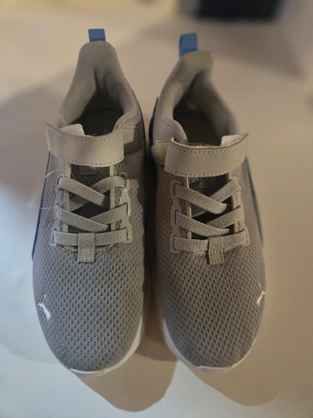Puma Boys thumbnail