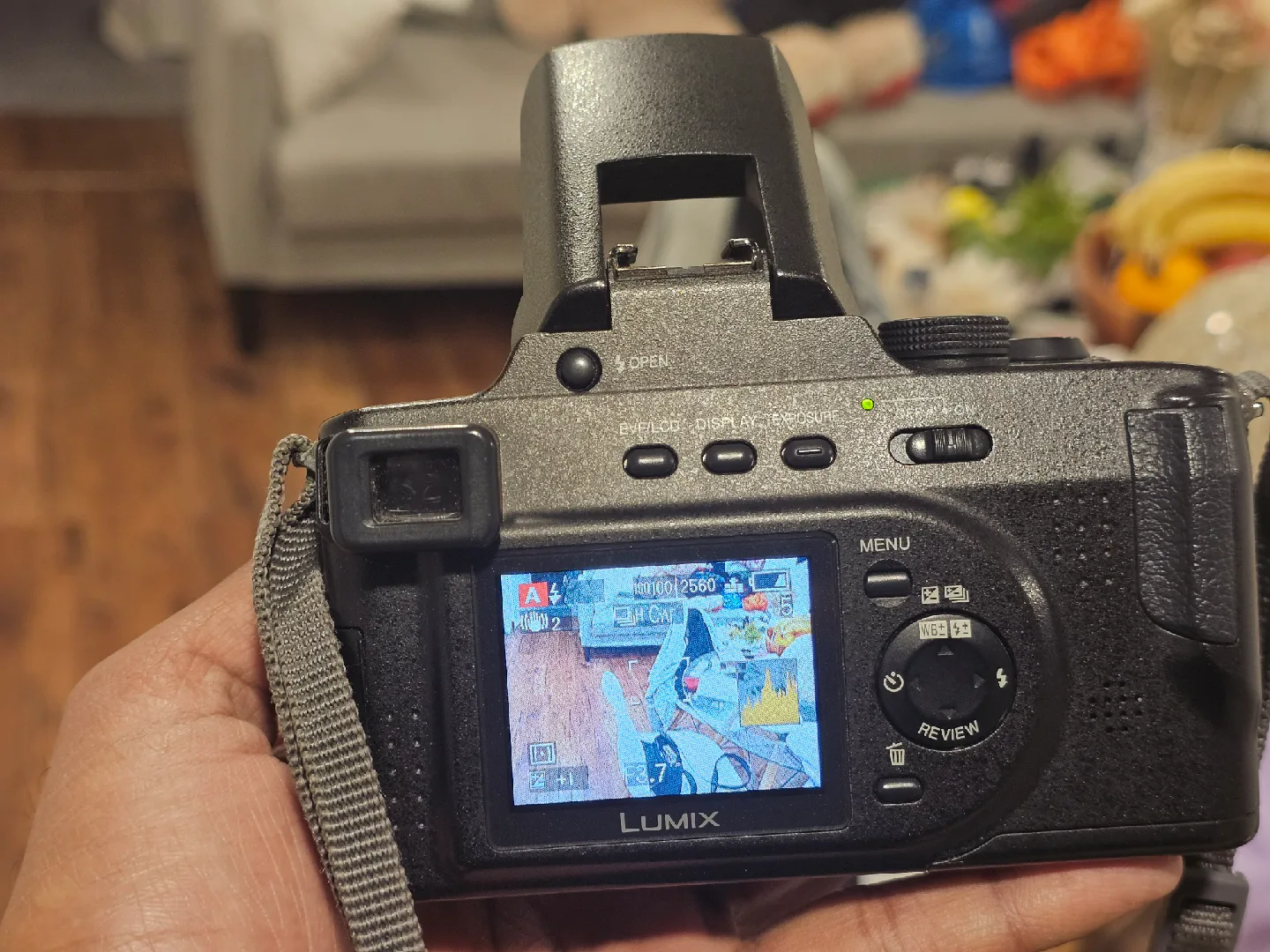 Panasonic Lumix DMC-FZ20 Digital Camera image indicator(2)