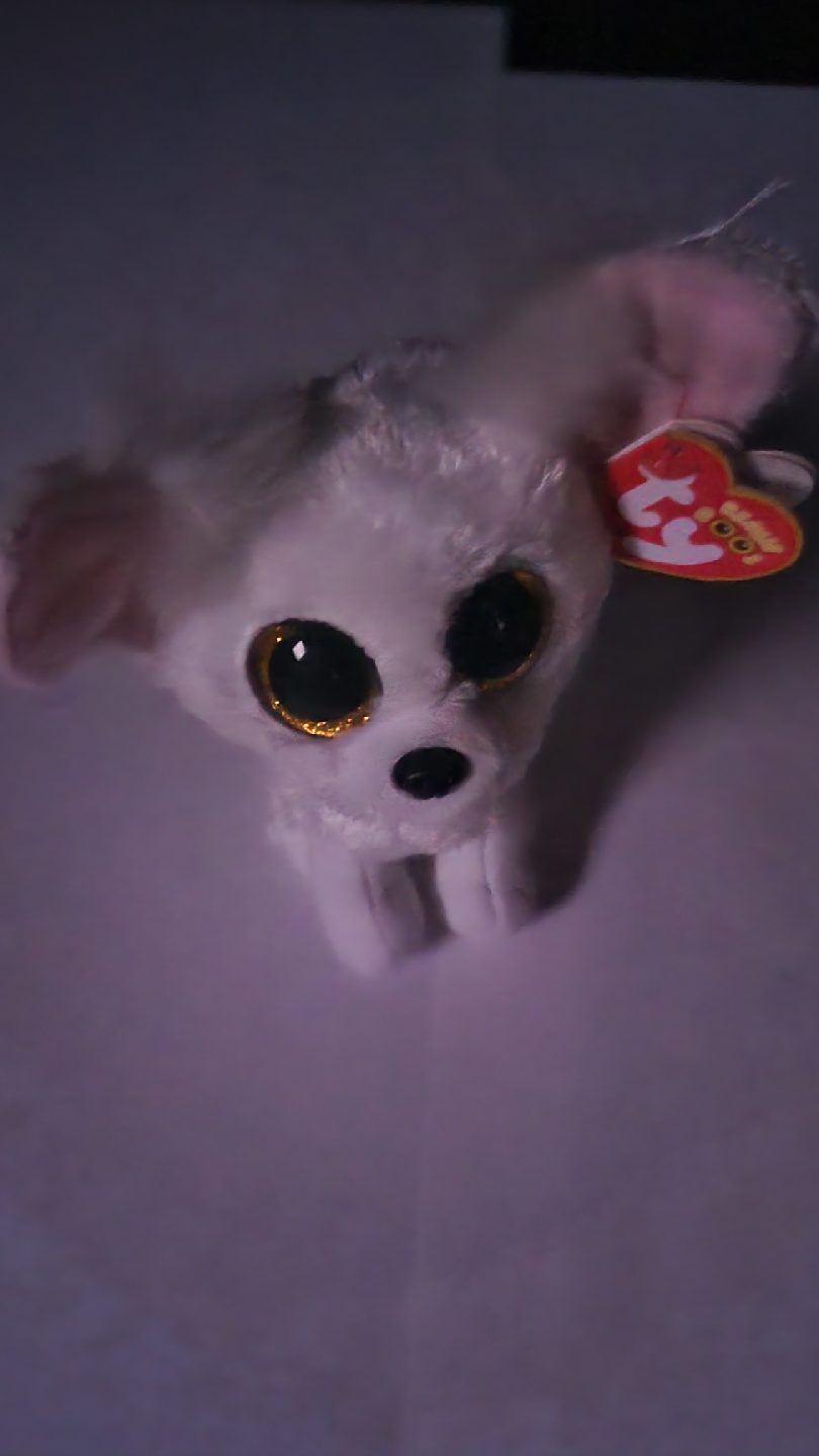 Ty Beanie Boos Chihuahua Dog Plush - photo 2