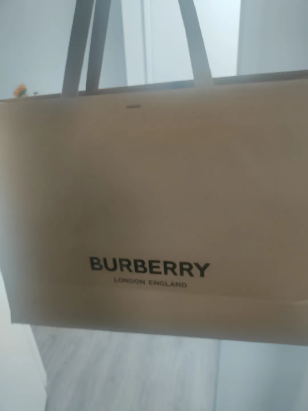 Burberry London England Paper Bag thumbnail