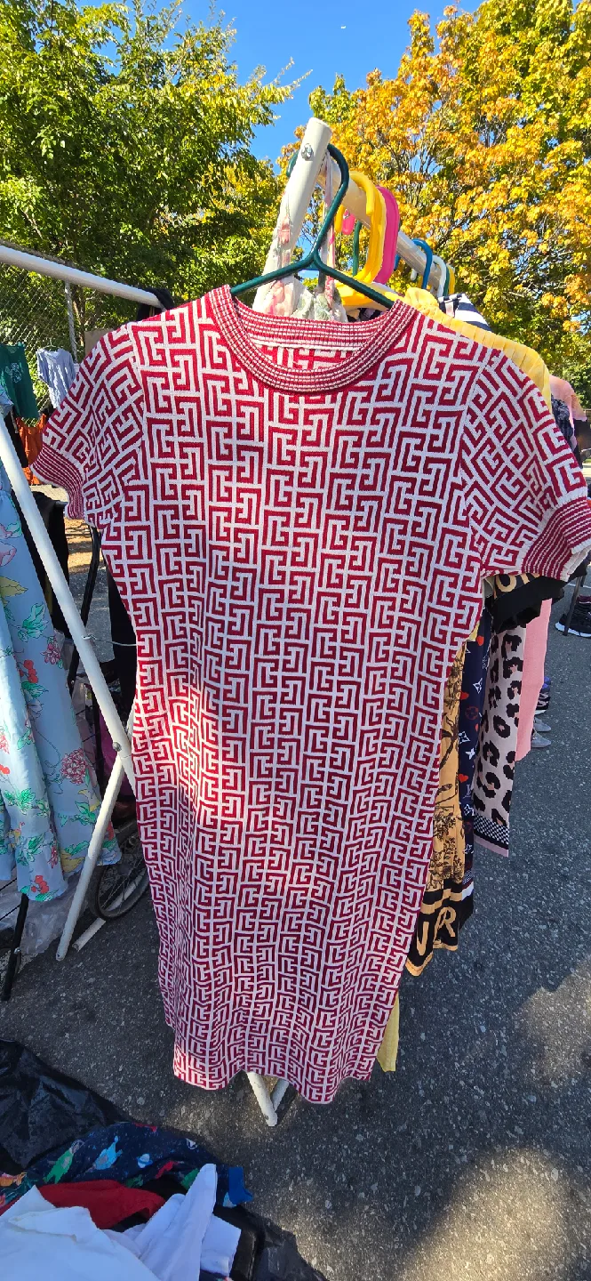 Red & White Patterned Dress image indicator(2)