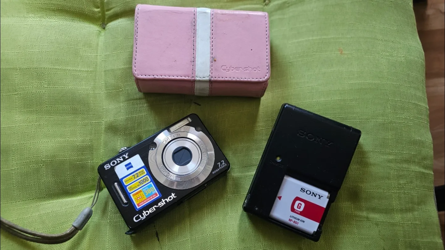 Sony Cyber-shot Digital Camera image indicator(2)