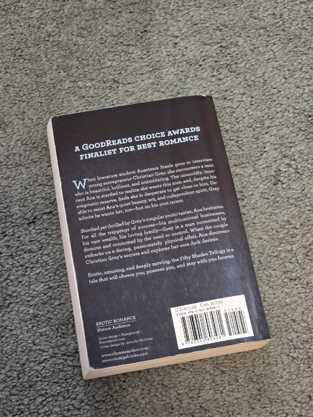 Fifty Shades of Grey by E L James image indicator(2)