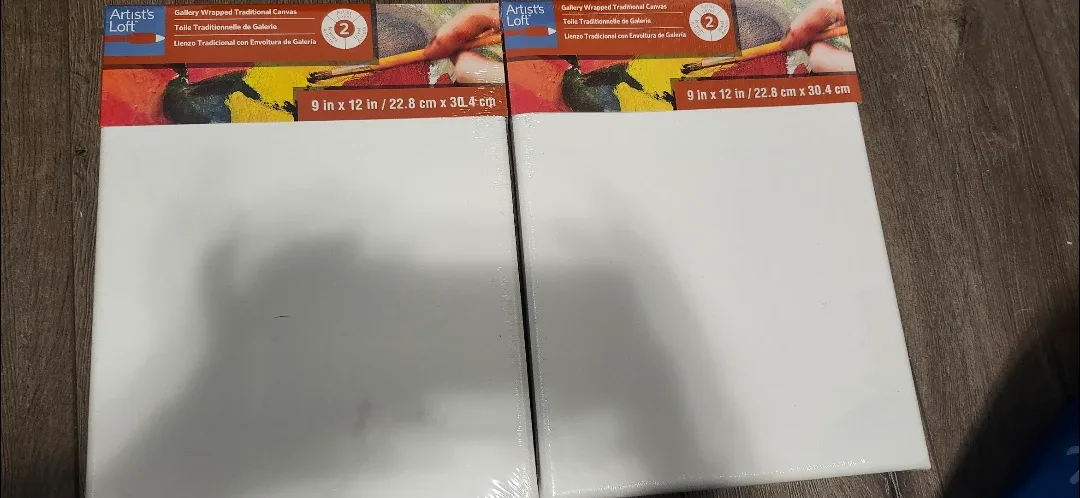 Artist's Loft Gallery Wrapped Canvas 9in x 12in (Set of 2)