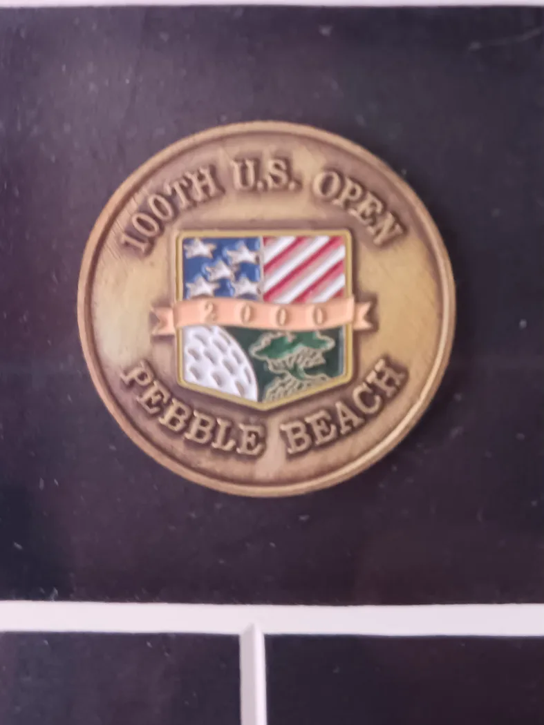 Tiger Woods 2000 Champion Framed Collectible image indicator(4)