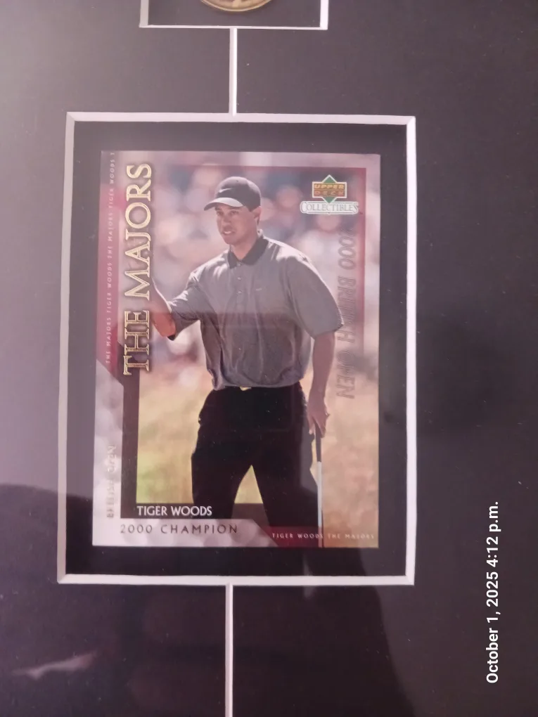 Tiger Woods 2000 Champion Framed Collectible image indicator(5)