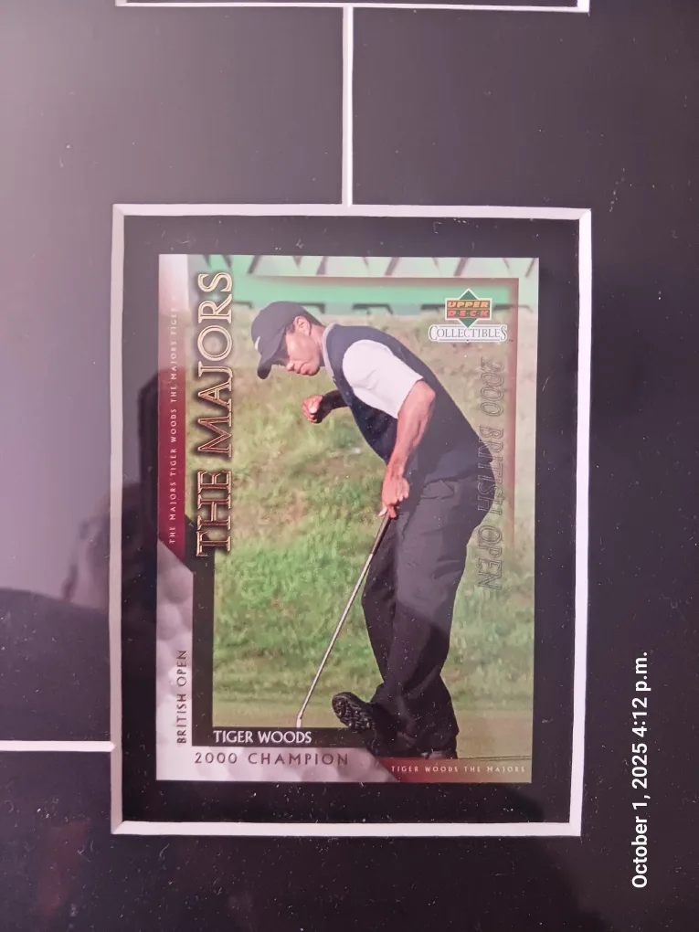 Tiger Woods 2000 Champion Framed Collectible image indicator(6)