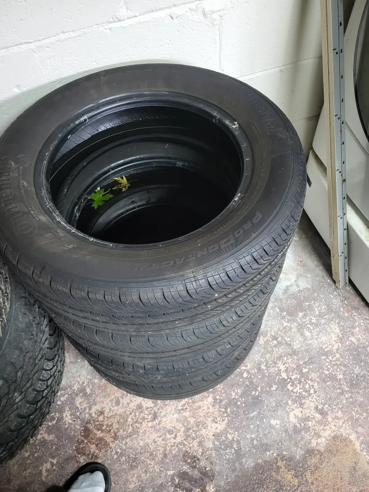 Continental ProContact TX Tires - 185/65 R15 image indicator(2)