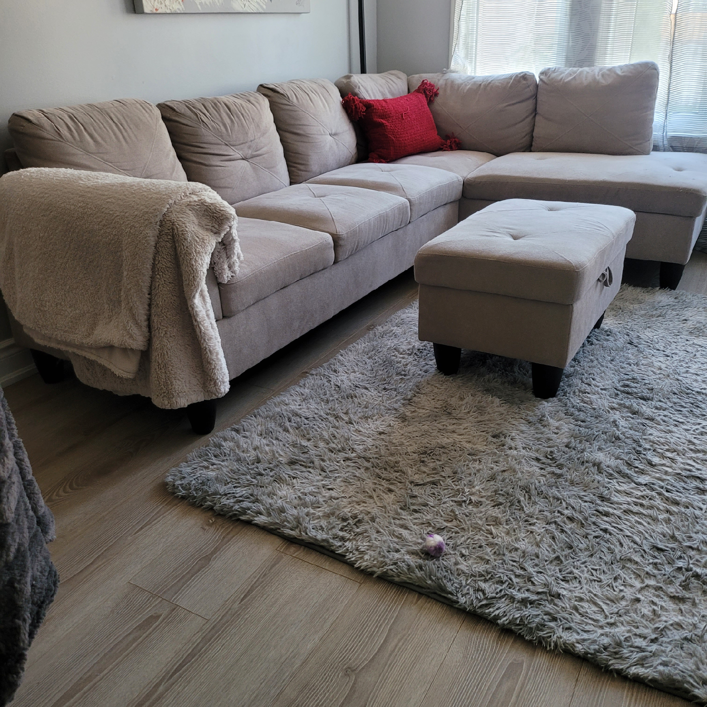 Sectional Sofa with Ottoman - photo 3