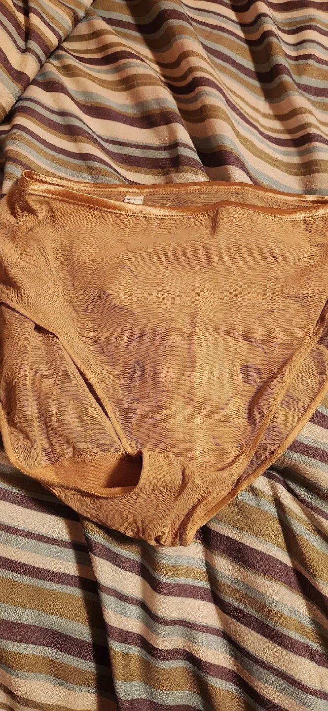 Lejaby Beige Lingerie -. 3 pairs Size Large image indicator(3)