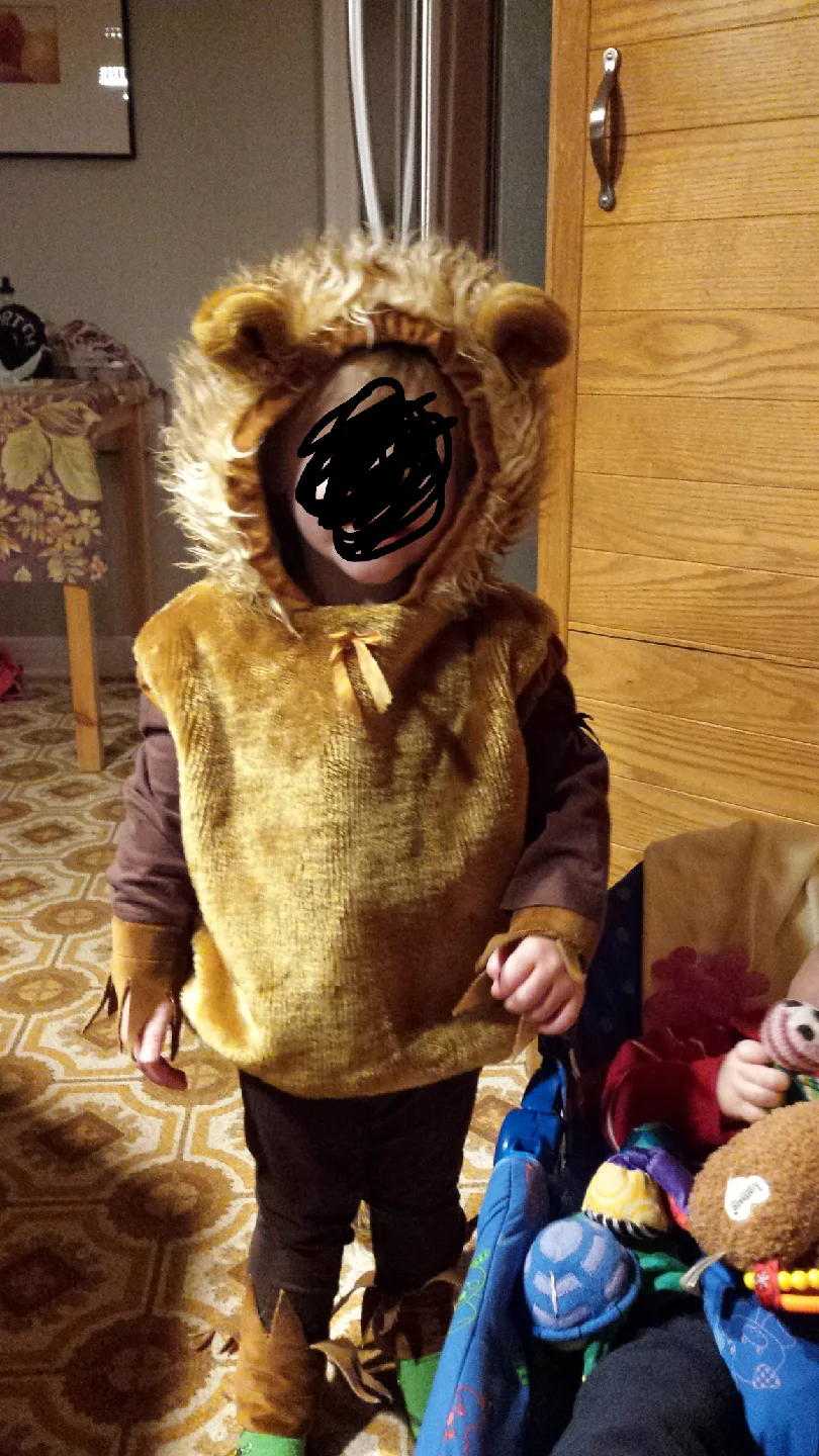 Lion Costume - Toddler Size image indicator(2)