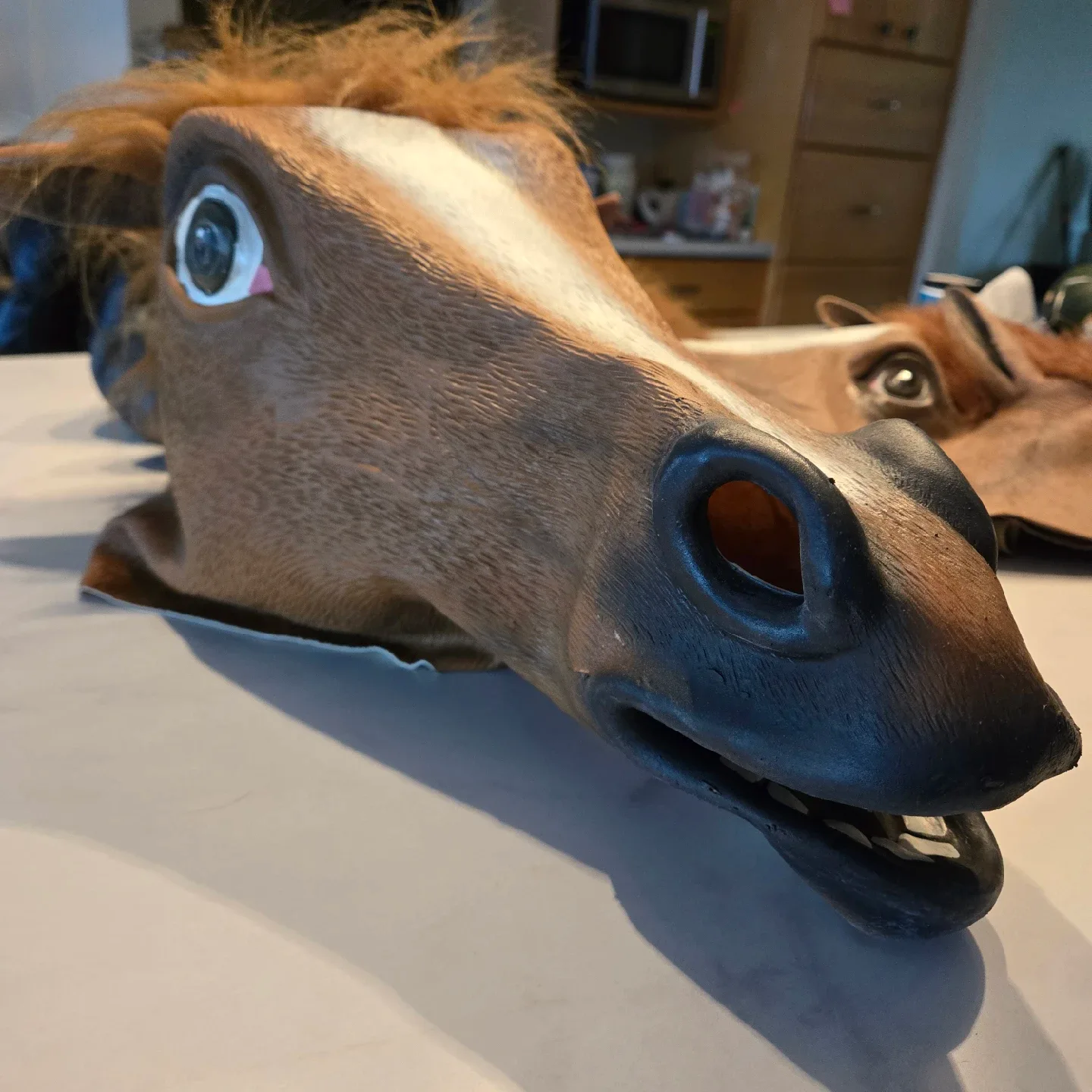 Horse Head Masks - 4 available image indicator(5)