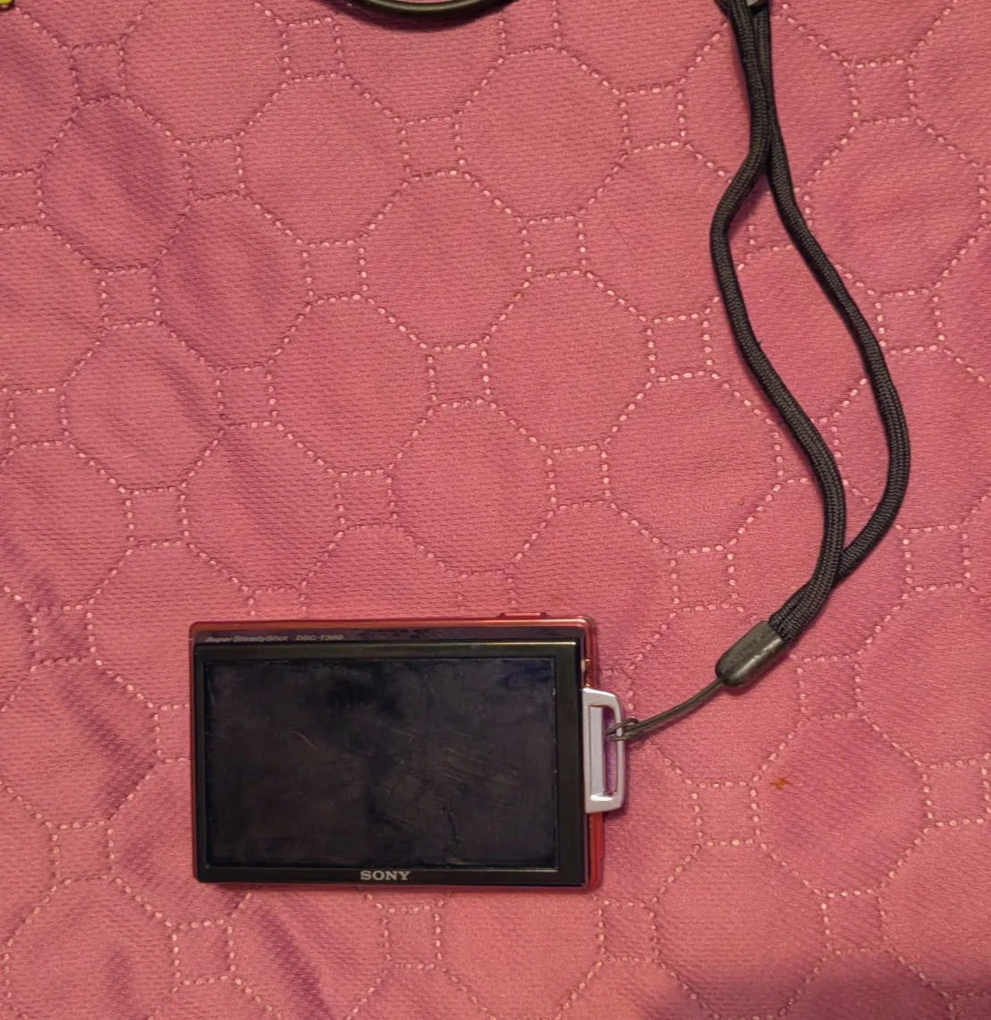 Sony Cyber-shot DSC-T300 Red with Tripod image indicator(2)