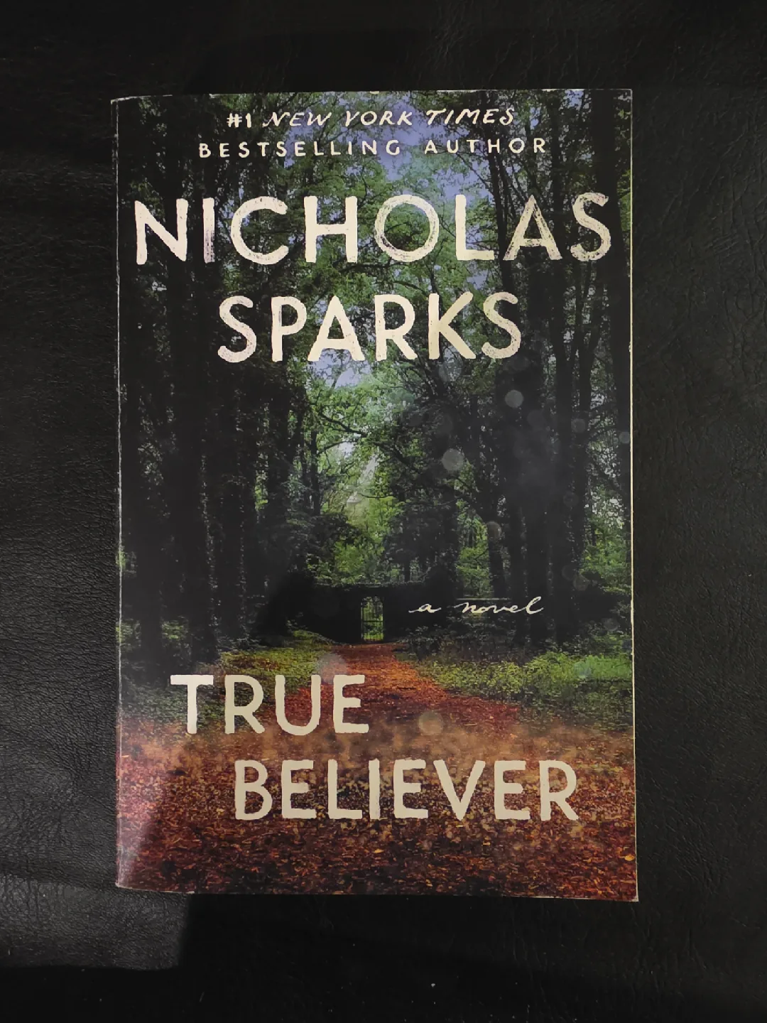 Nicholas Sparks Book Collection image indicator(3)
