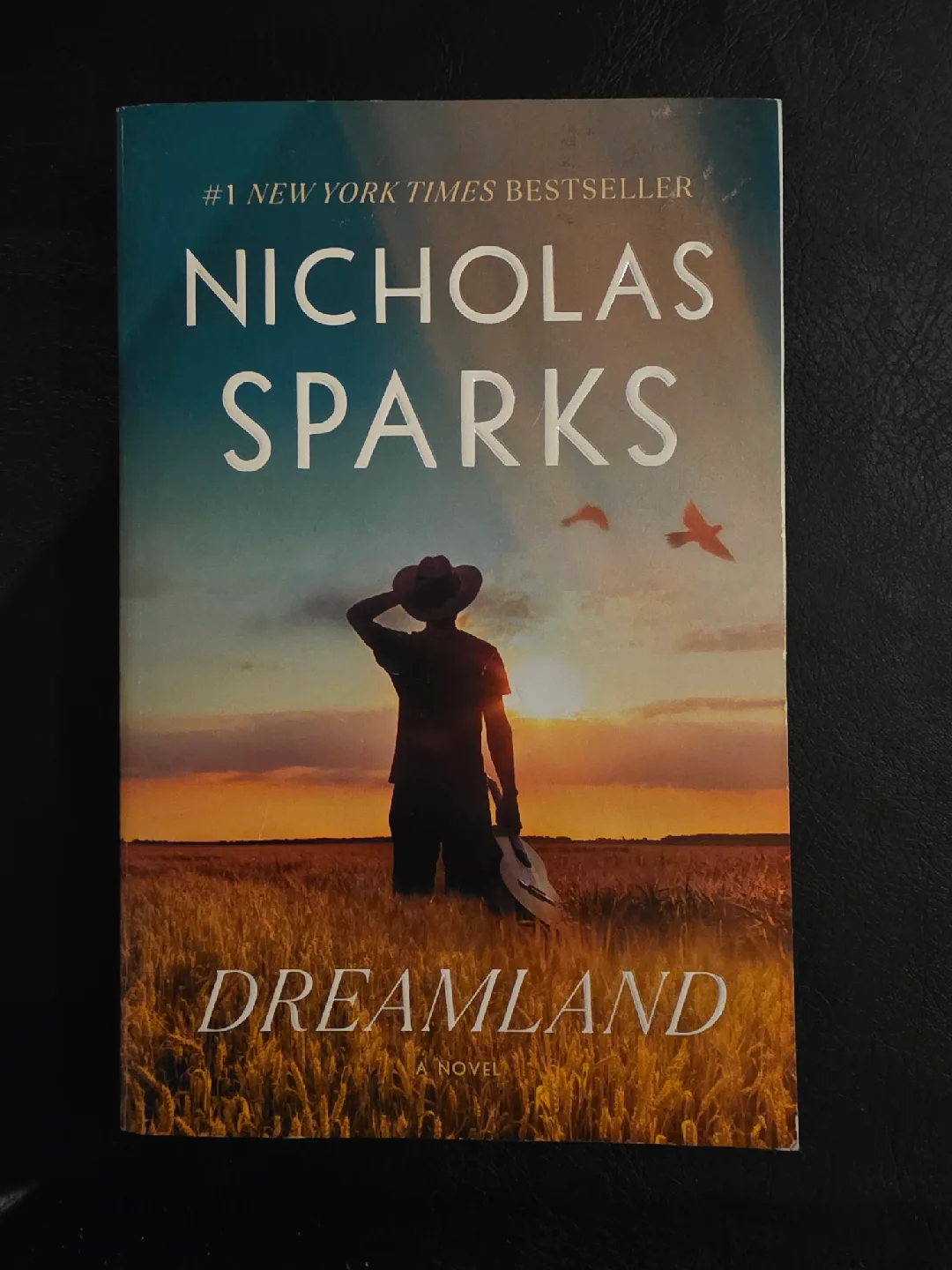 Nicholas Sparks Book Collection image indicator(5)