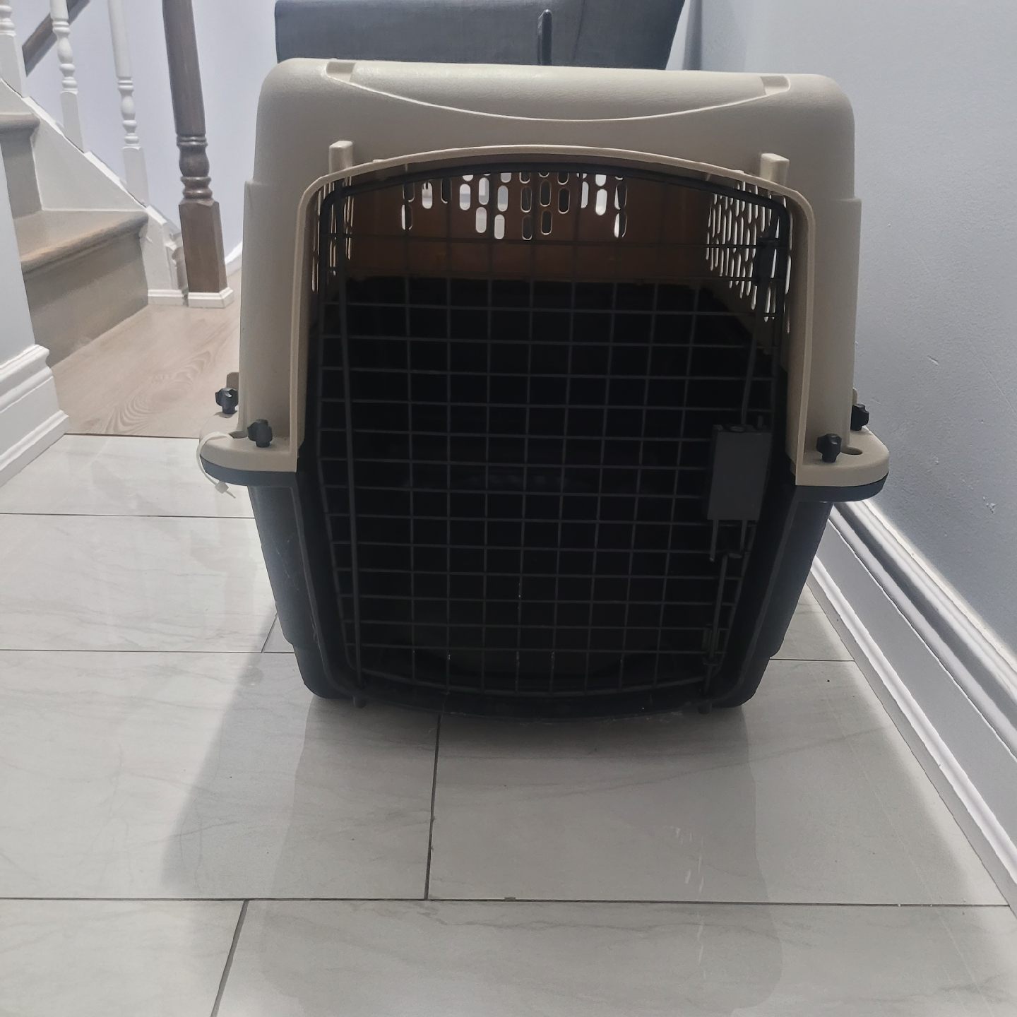 Top Paw Pet Carrier