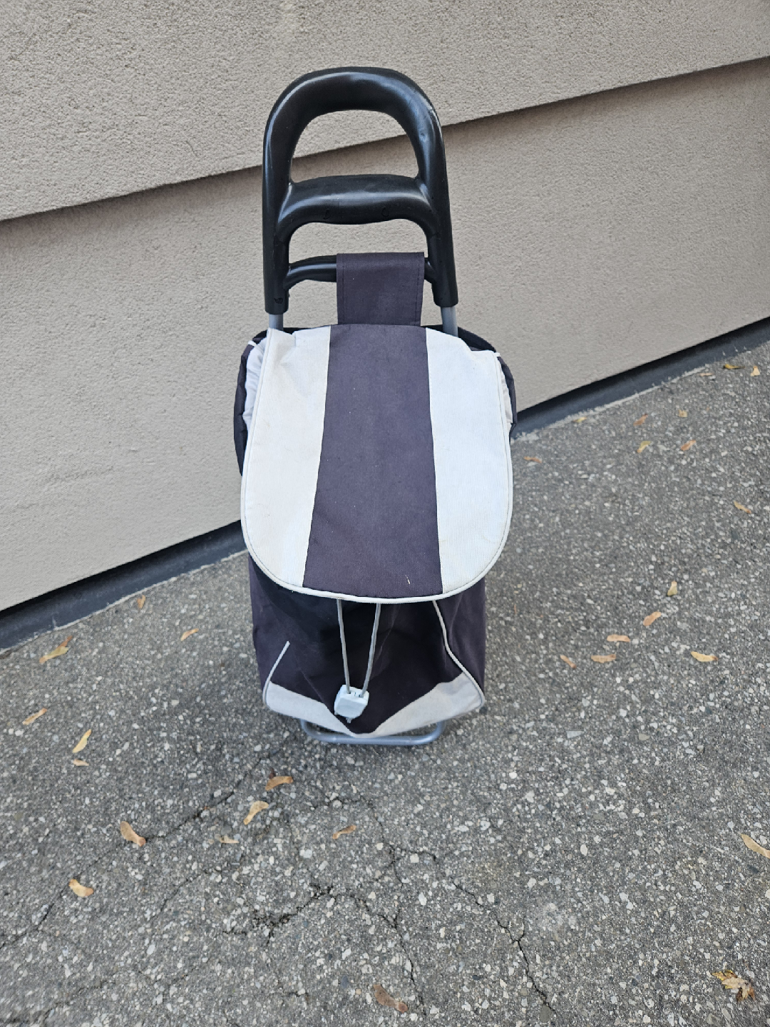 Shopping Cart Tote