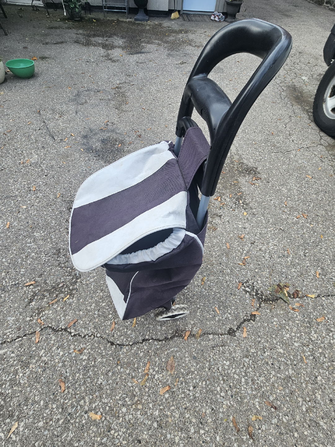 Shopping Cart Tote - photo 2