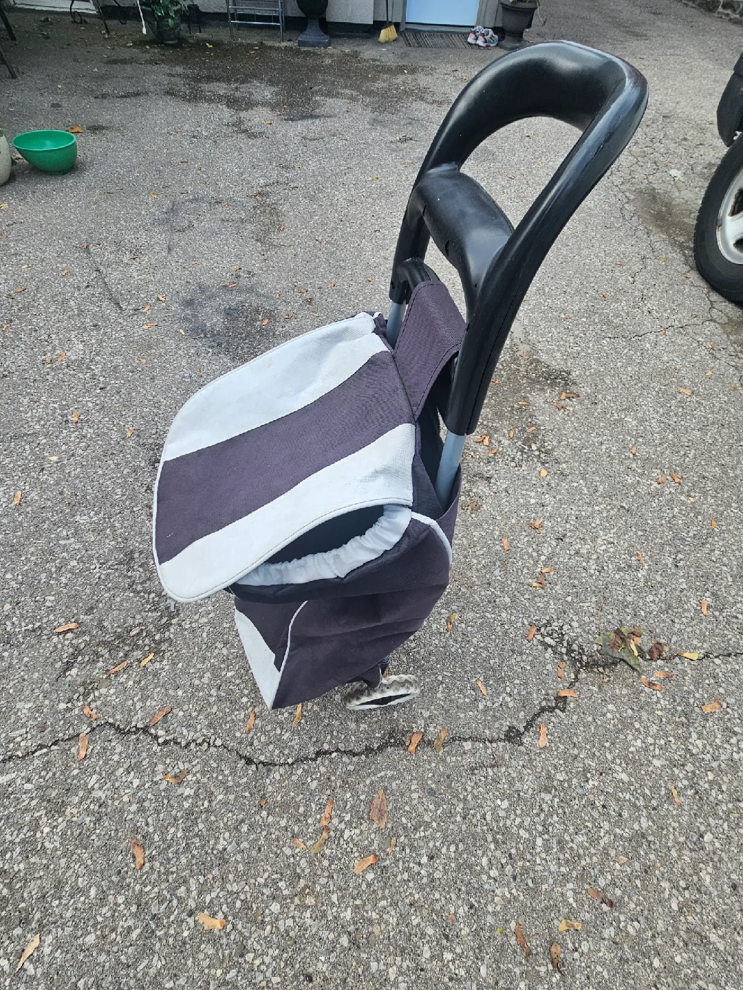 Shopping Cart Tote image indicator(2)