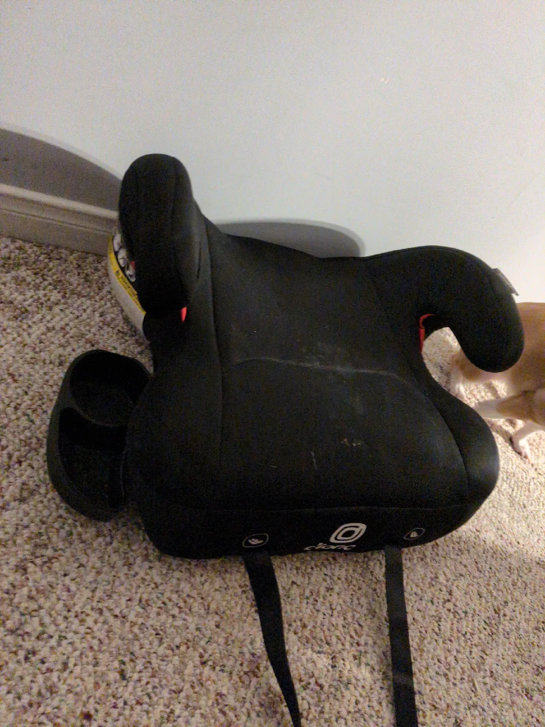 Diono Cambria 2 Booster Seat image indicator(4)