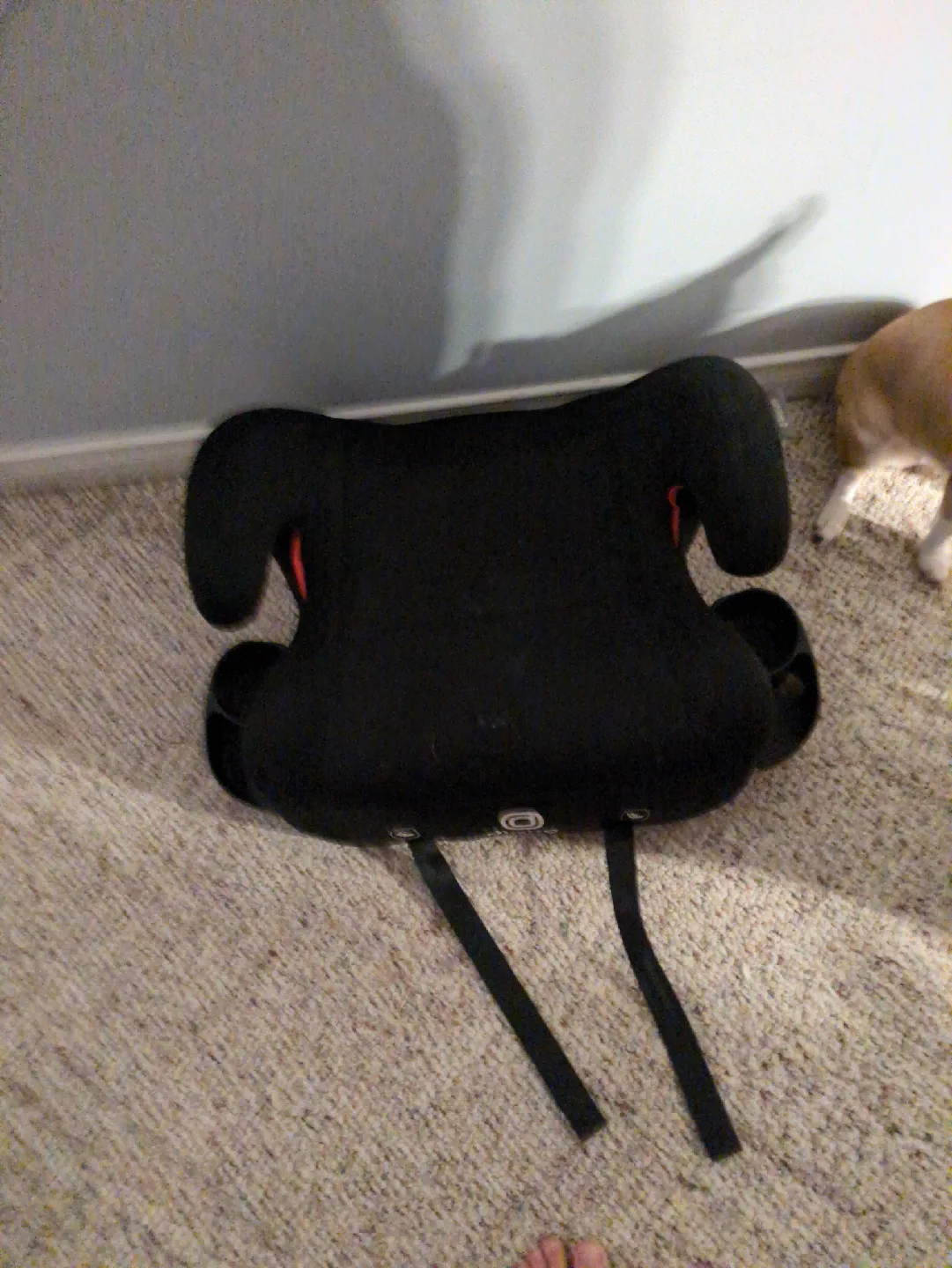 Diono Cambria 2 Booster Seat image indicator(6)