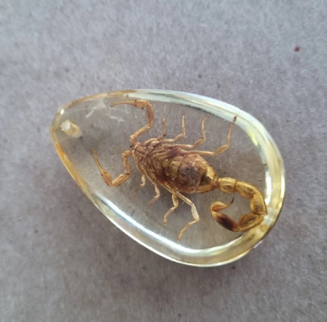 Scorpion in Resin Pendant image indicator(3)